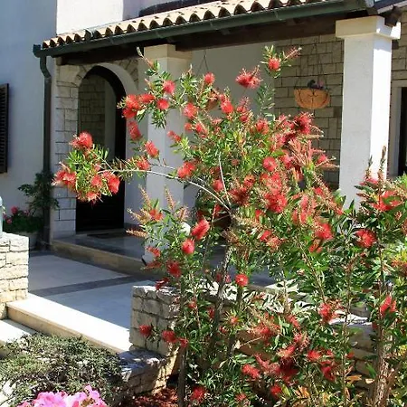 דירה Borghese פולה