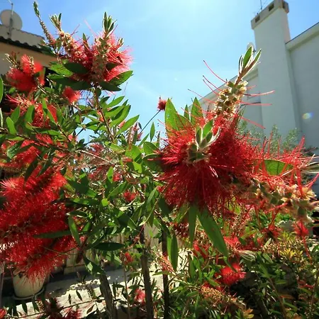 Apartment Borghese